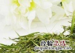 竹叶青泡水喝的功效和药用价值及禁忌 竹叶青泡水喝的功效和药用价值