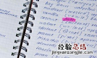 diary是什么意思中文 diary的中文意思是什么