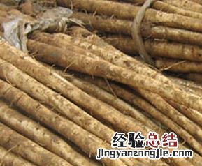 牛蒡图片超清图片大全 牛蒡图片