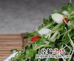 萝卜苗的营养价值与功效 萝卜苗的营养价值与功效与作用