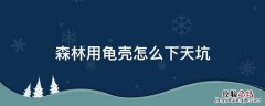 森林下天坑用龟壳从哪滑下去 森林用龟壳怎么下天坑