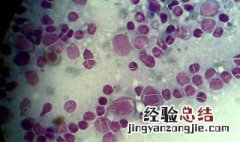 机体防卫体系的构成包括 机体防卫体系的构成