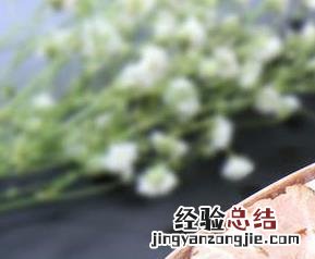 熏肉怎么吃好吃又简单 熏肉怎么吃