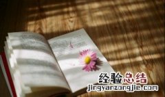 阝字旁的字有哪些字旁的字 阝字旁的字