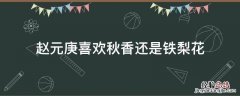 赵元庚喜欢秋香还是铁梨花 赵元庚为什么喜欢秋香