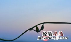 爬山说说心情说说 关于爬山的心情说说