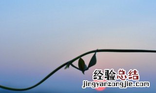 爬山说说心情说说 关于爬山的心情说说