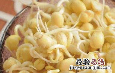 黄豆芽怎么发豆芽的图片 黄豆芽怎么发