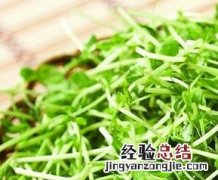 豆苗如何做好吃 豆苗怎么做好吃