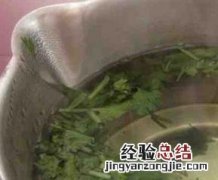 香菜煮水的功效与作用 香菜煮水的功效与作用禁忌