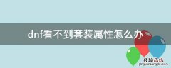 dnff8看不了套装属性 dnf看不到套装属性怎么办
