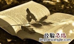 白鹤的拼音 白鹤的拼音及介绍