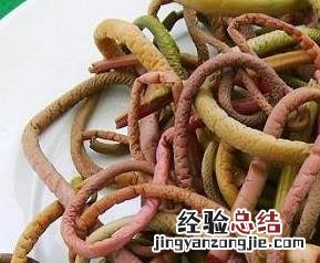 微菜的营养价值 微菜的功效与作用