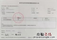 邯郸中小学教师资格面试核酸检测证明样例及说明