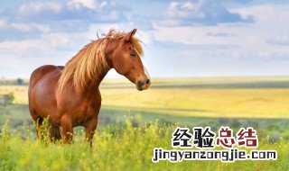 路遥知马力日久见人心的意思是什么意思 路遥知马力日久见人心的意思是什么