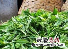 茶叶种类有哪些 中国的茶叶种类有哪些