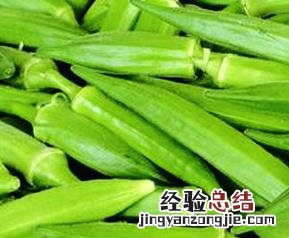 秋葵的功效 秋葵的功效与作用 秋葵的营养价值