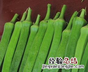 秋葵的药用功效和作用 秋葵的药用功效