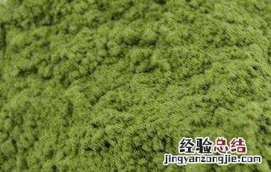 大麦苗粉的功效与作用有哪些禁忌 大麦苗粉的功效与作用有哪些
