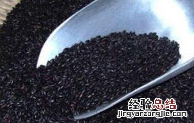 黑香米的功效与作用及禁忌 黑香米的功效与作用