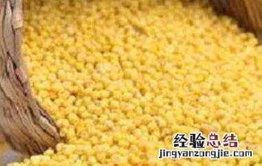 大黄米的功效与作用及营养价值 大黄米的功效与作用