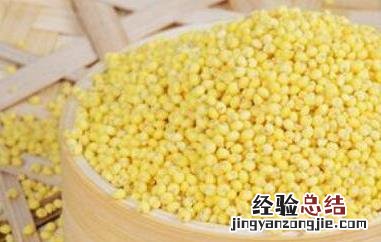 大黄米的功效与作用及营养价值 大黄米的功效与作用