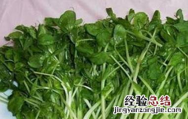 豌豆芽的营养价值 豌豆芽的营养价值和功效