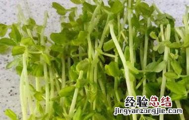豌豆芽的营养价值 豌豆芽的营养价值和功效