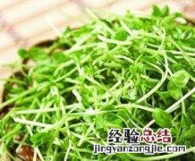 豆苗的功效与作用 豆苗的功效与作用及营养价值