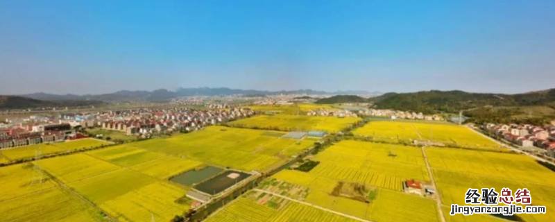 2000亩有多大 2000亩地是多少