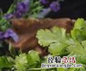香菜怎么做好吃 香菜怎么做好吃又简单