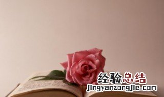 萦组词和拼音 萦组词