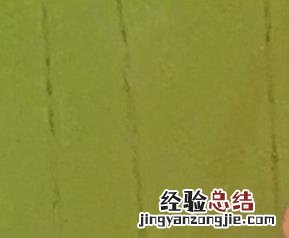 鸡胸肉怎么做好吃 鸡胸肉怎么做好吃又简单的方式减肥