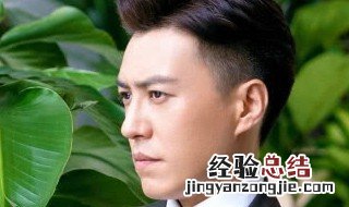 在哪里可以看精英律师 在哪里可以看精英律师电视剧