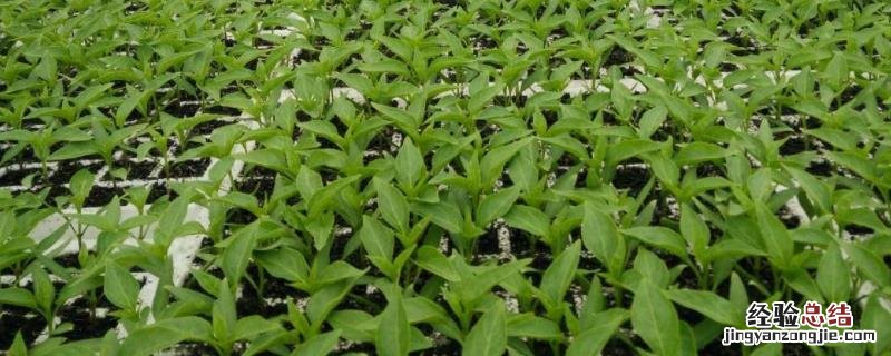 农业开发公司经营范围有哪些,欧洲西部工农业发展特点