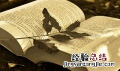 自然的拼音 自然的拼音及解释