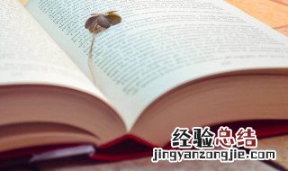 脑袋的拼音 脑袋的拼音及解释