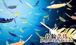 满地鸡毛是什么意思 一地鸡毛和满地鸡毛