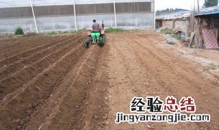 种植有几种起垄方式 起垄种植优势