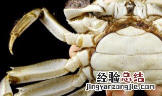 螃蟹当天没吃完第二天还可以吃吗 螃蟹剩下第二天还能吃吗