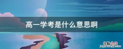 什么叫高一学考 高一学考是什么意思啊