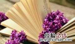 早安正能量的句子微商 微商发朋友圈的精美好听句子