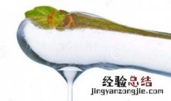 蜡烛熔化吸热还是放热 熔化吸热还是放热