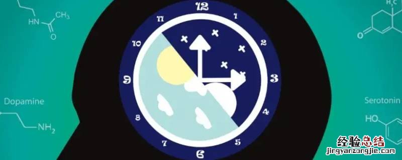 生物钟睡眠时间是几点到几点 生物钟是几点到几点