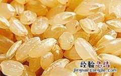 七色糙米的营养价值 糙米的营养价值