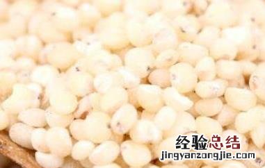 真空高粱米怎么吃 高粱米怎么吃