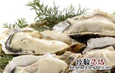 生蚝和牡蛎有什么区别 生蚝和牡蛎有什么区别吗