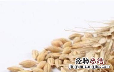 燕麦与野燕麦的区别 燕麦与野燕麦的区别图片