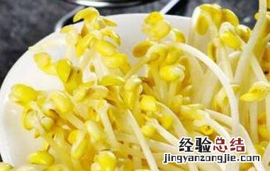 怎样生黄豆芽又粗又长 怎样生黄豆芽