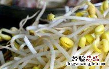 怎样生黄豆芽又粗又长 怎样生黄豆芽